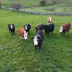 Helens Self Catering Hébergement de vacances Castlebar