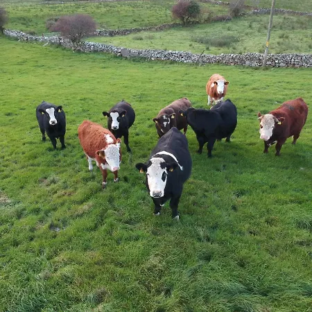 Helens Self Catering Сasa de vacaciones Castlebar