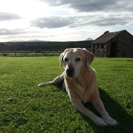 Сasa de vacaciones Helens Self Catering Castlebar