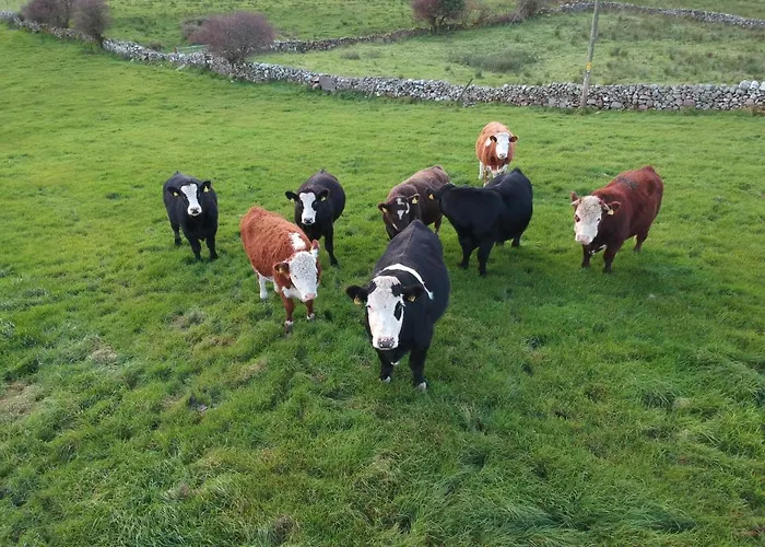 Helens Self Catering Prázdninový dům Castlebar