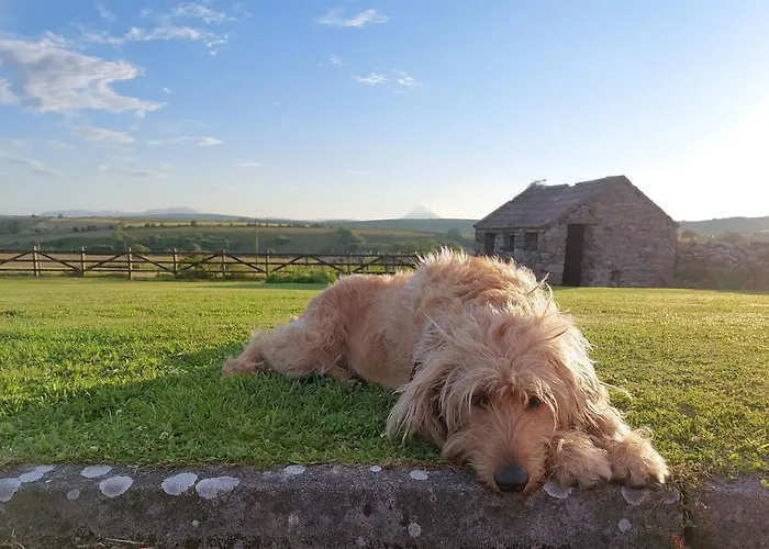 Feriehus Helens Self Catering