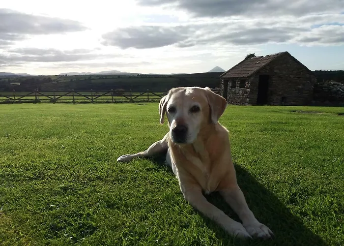 Prázdninový dům Helens Self Catering Castlebar